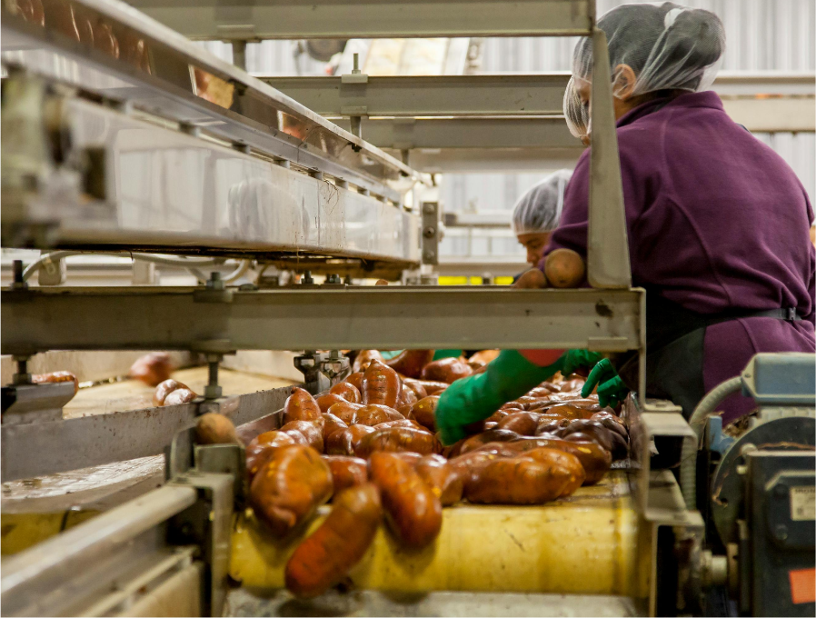 Manufacturing